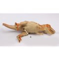 thumbnail image 3 of 24 piezas de plástico surtido figuras de dinosaurios animales para niños juguete SM SunniMix 12 piezas de figuras de dinosaurios, 3 of 8