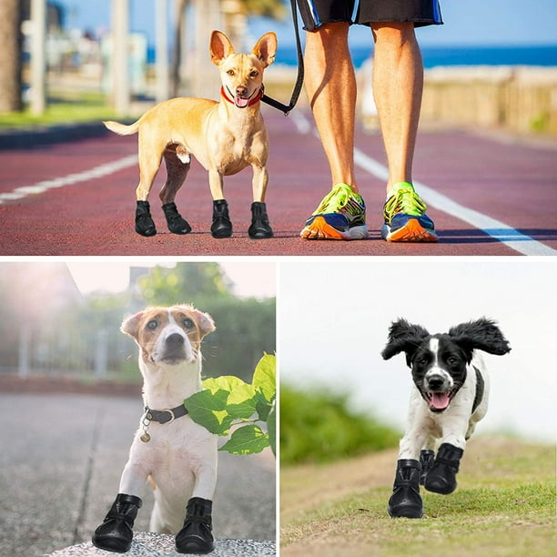 Dog booties walmart deals