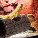 thumbnail image 1 of DEEPCRAFF Para Con Natural Y Succión Para De Reptiles, 1 of 8