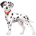 thumbnail image 2 of Cute Dalmatian Dog Wall Decal Mural by Wallmonkeys Peel and Stick Graphic (48 in W x 47 in H) WM234462, 2 of 4