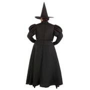 Women's Plus Size Witch Costume