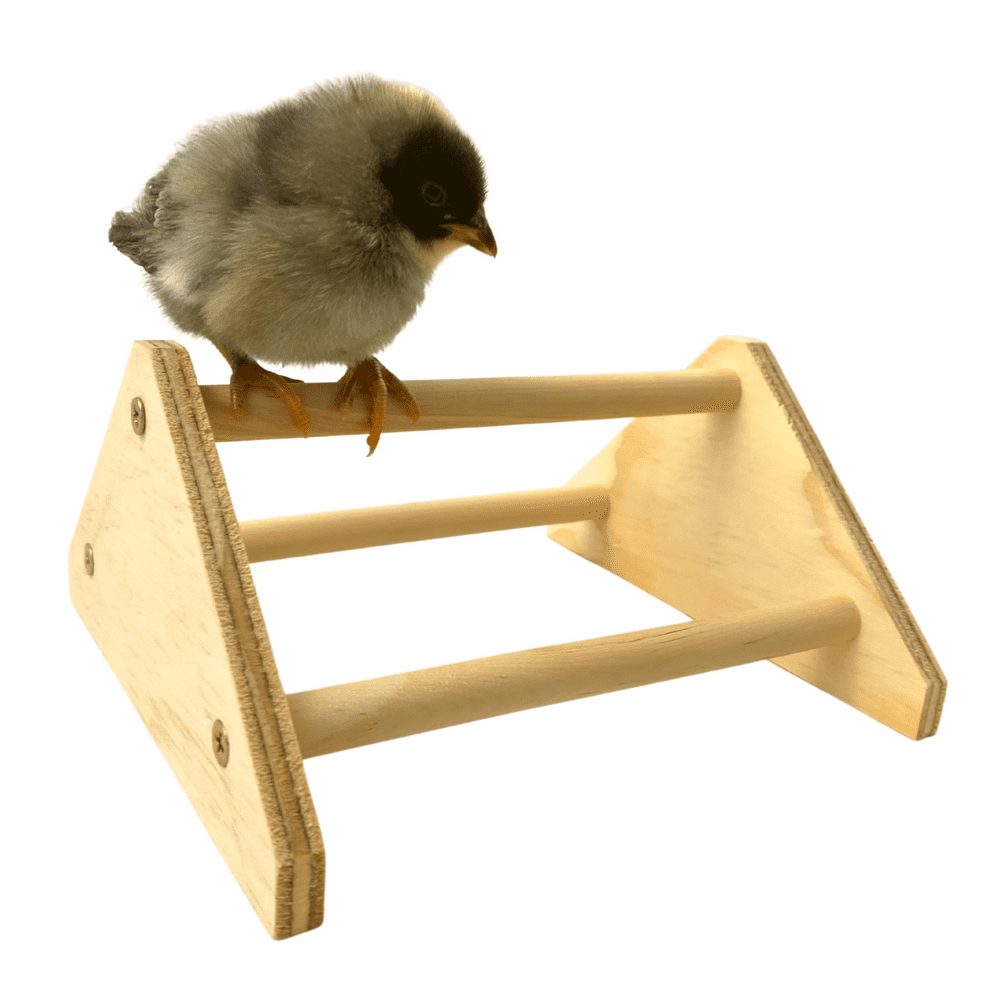 Backyard Barnyard Mini Chick Roosting Perch (2 Pack) Chicken Toys for