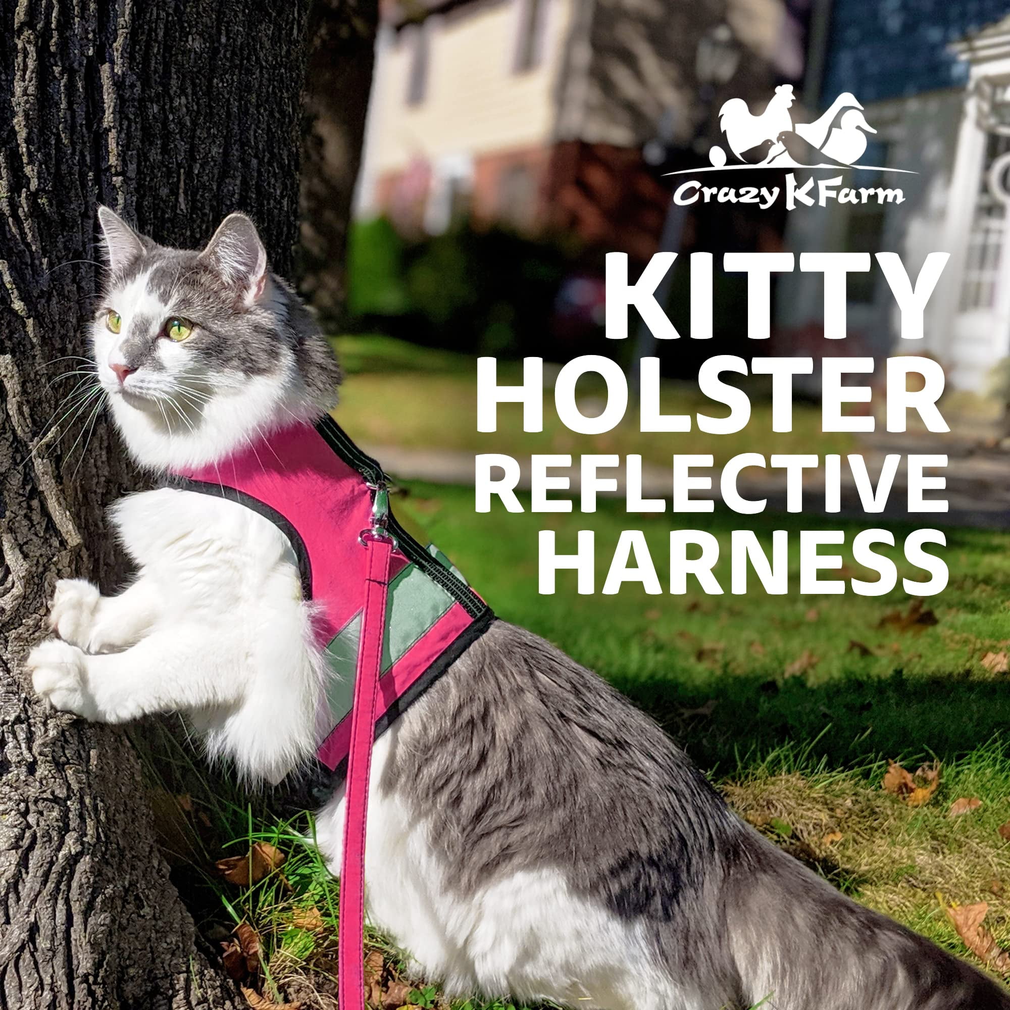Kitty Holster Reflective Safety Harness (Made in USA) Color: Flamingo Pink, Size: S/M