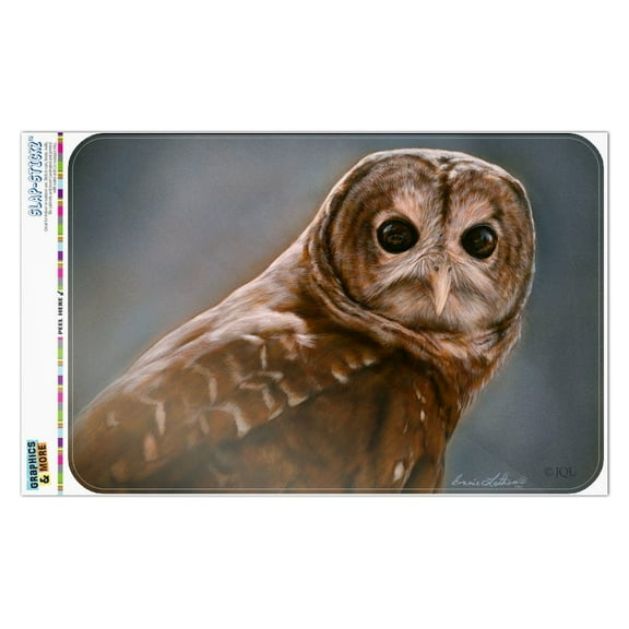Solitary Barred Owl Home Business Office Sign