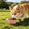 thumbnail image 5 of Foldable Slow Feeder Bowl for Dogs Cats, Portable Silicone Travel Food Water Bowl with Slow Eating Designs, Anti-choke Pet Bowl for Outdoor Walking Hiking, Topliu, 5 of 6