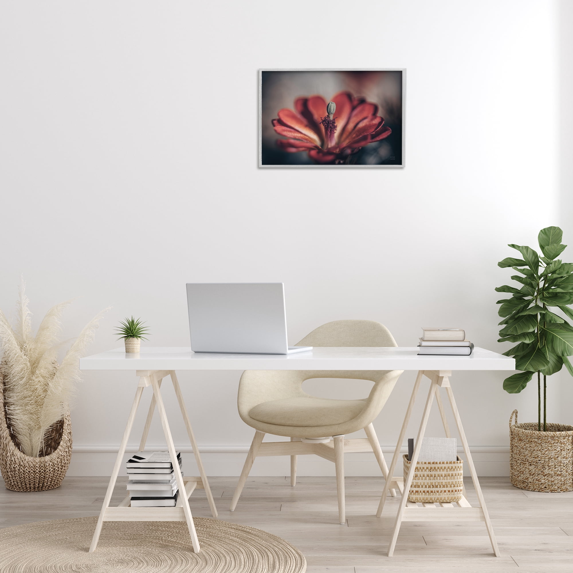 Stupell Industries Red Elevation Bloom Botanical & Floral Photography Gray Framed Art Print Wall Art, 24 x 16