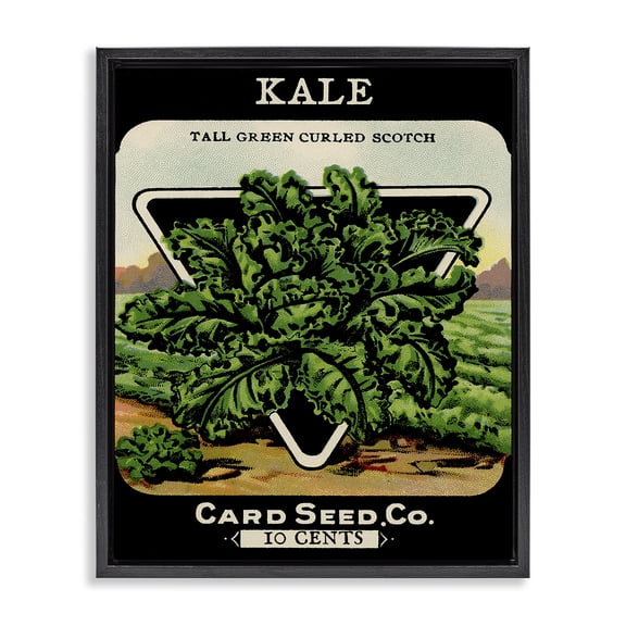 Stupell Industries Vintage Gardening Kale Food & Beverage Painting Black Floater Framed Canvas Art Print Wall Art, 17 x 21