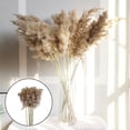 thumbnail image 3 of 10pcs Dried Grass Feathers Natural Dried Reed Flowers Bouquet Arrangements for Wedding Vase Holder Garland Home Decor - Nature, 5cm 50-60cm, 3 of 8