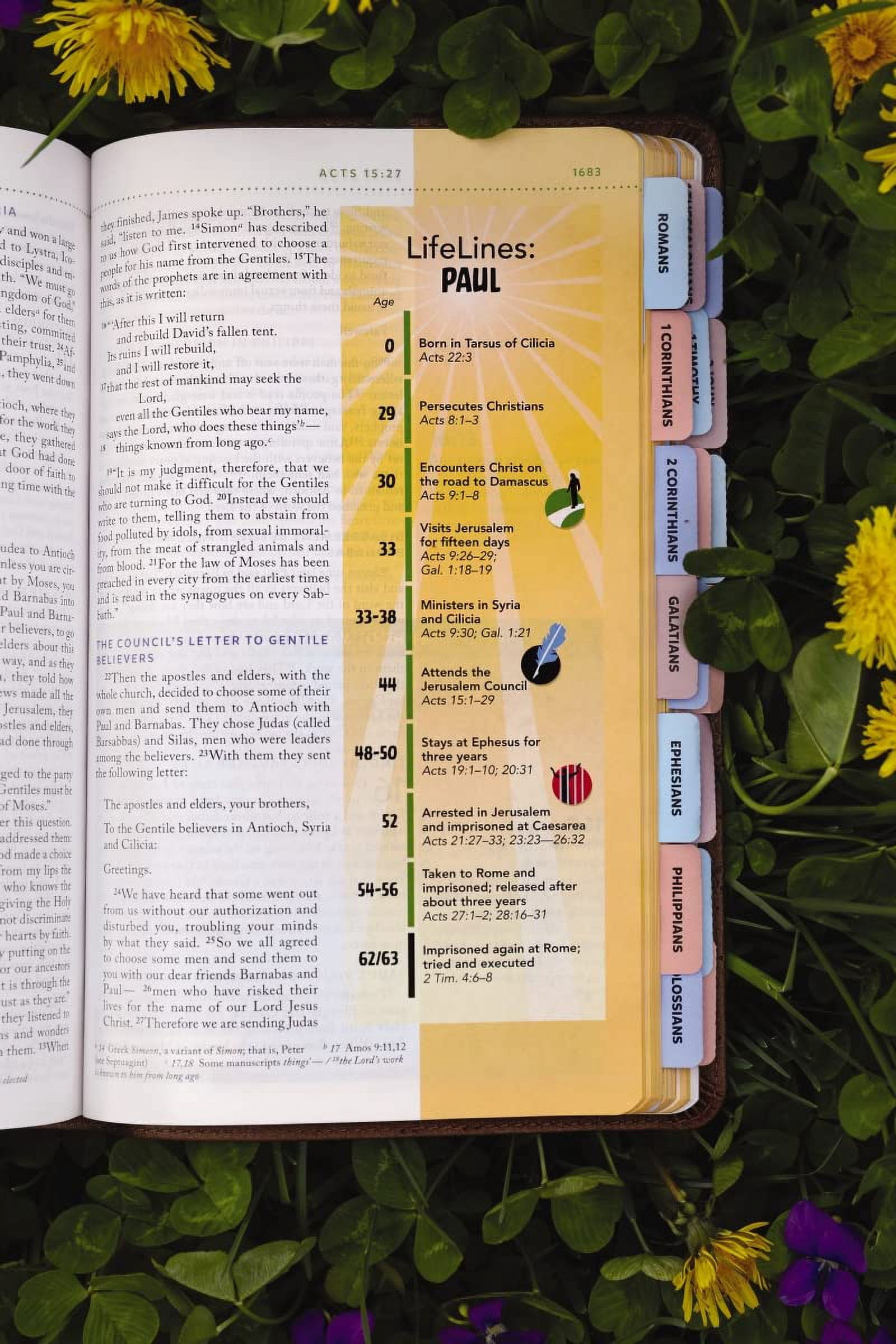 Niv, Kids' Visual Study Bible, Leathersoft, Bronze, Full Color Interior, Peel/Stick Bible Tabs: Explore the Story of the, (Hardcover)