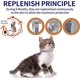 thumbnail image 3 of Collar contra pulgas y garrapatas para gatos, protección efectiva de 8 meses, collar ajustable para tratamiento contra pulgas de gatos, resistente al agua para cachorros de gatos (, 3 of 5