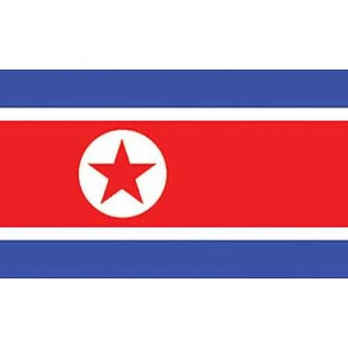 North Korea Flag On Stick 4" x 6"