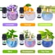 thumbnail image 3 of Kit para Hacer Velas SUPERSUN con Cera de Abeja y Aceites Esenciales, 3 of 7