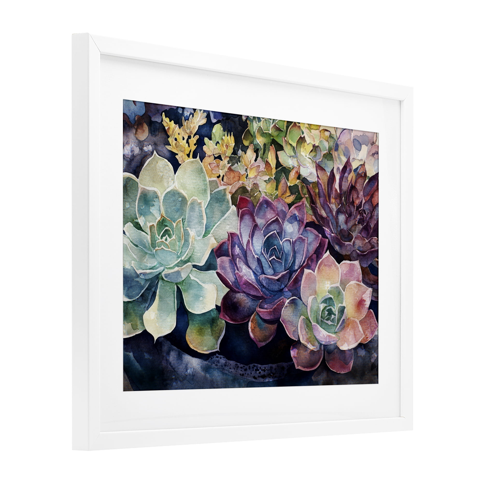 Stupell Industries Tutti Succulents Collection White Framed Print Under Glass, design by Svetlana Aleynikova