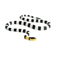 thumbnail image 4 of WEUVEB 1Pc Realistic Coral Snake Model Ornament for Home Office Decoration Made with Excellent Craftsmanship, 4 of 8