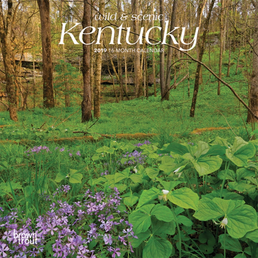 Kentucky, Wild & Scenic 2019 7 x 7 Inch Monthly Mini Wall Calendar, USA
