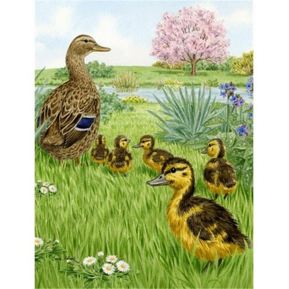 Female Mallard Duck & Ducklings Flag Garden Size