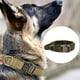 thumbnail image 3 of Correa para perros Salvador Nylon Cómoda protección para mascotas Cinturón para el cuello Entrenamiento para perros Collar de perro XL 50-60, 3 of 8