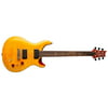 PRS SE Paul's Guitar Electric Guitar (Amber)