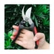 thumbnail image 4 of Piezas Tijeras de Podar de Jardín y Tijeras de Jardinería Podadora Manual de Acero Inoxidable Tijeras de Podar de Hoja Afilada para Jardineros Podar Recoger Adornos, Flores, Setos, Frutas., 4 of 5