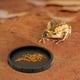 thumbnail image 3 of POPETPOP - 2 cuencos de comida para reptiles y mascotas, bebederos para reptiles, comederos para reptiles, suministros de alimentación para mascotas, 3 of 7