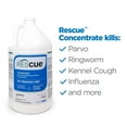 thumbnail image 3 of Veterinary-Grade Disinfectant Cleaner & Deodorizer for Animal Shelters, Foster Homes, Kennels & Litter Boxes - 1-Gallon Concentrate, 3 of 4