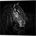 thumbnail image 2 of Great Art Now Equine Portrait by PHBurchett 3 Piece Canvas Art Set Each 14"W x 14"H, 2 of 4