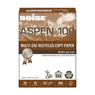 Boise® X-9® 3-Hole Punched Multi-Use Printer & Copier Paper