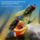 thumbnail image 4 of Soft Body Fly Bait Life-Like Long-Casting Trolling Fishing Bait For Bass Trout, 4 of 5