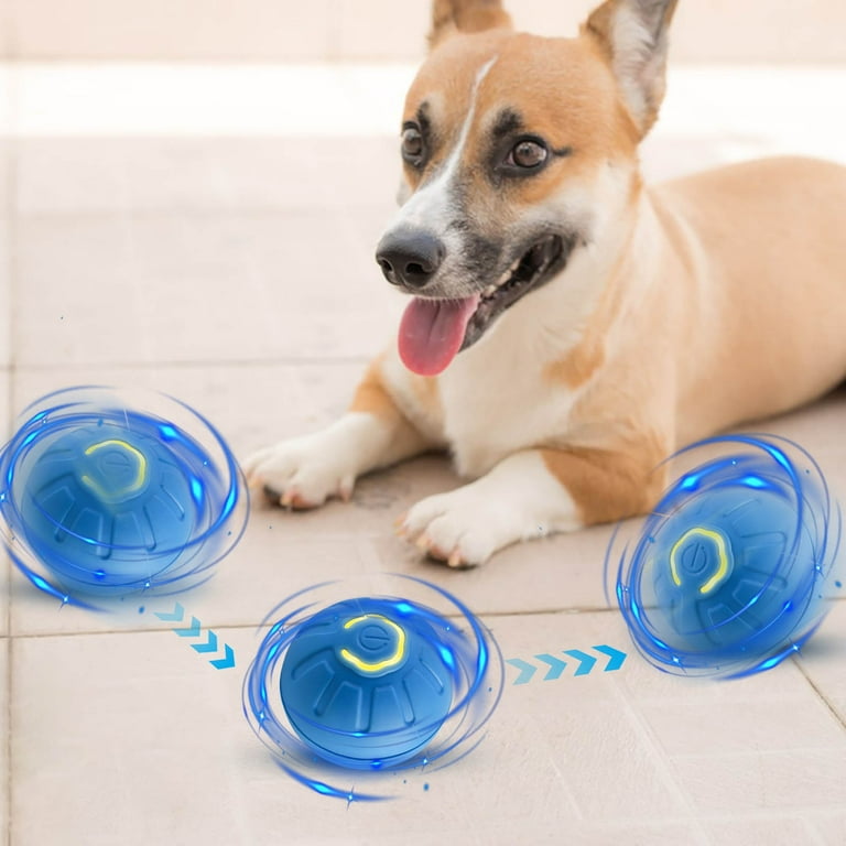 Interactive Pet Toy | Automatic Moving Vibrating Smart Ball | USB  Rechargeable Dog Toy | LED Light Ring | Durable TPR Chew-Resistant | Two  Speed Adjustable | 1 Pack | 2 Inch - Walmart.com