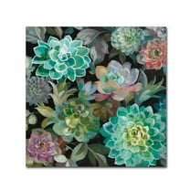 Danhui Nai 'Floral Succulents v2 Crop' Canvas Art