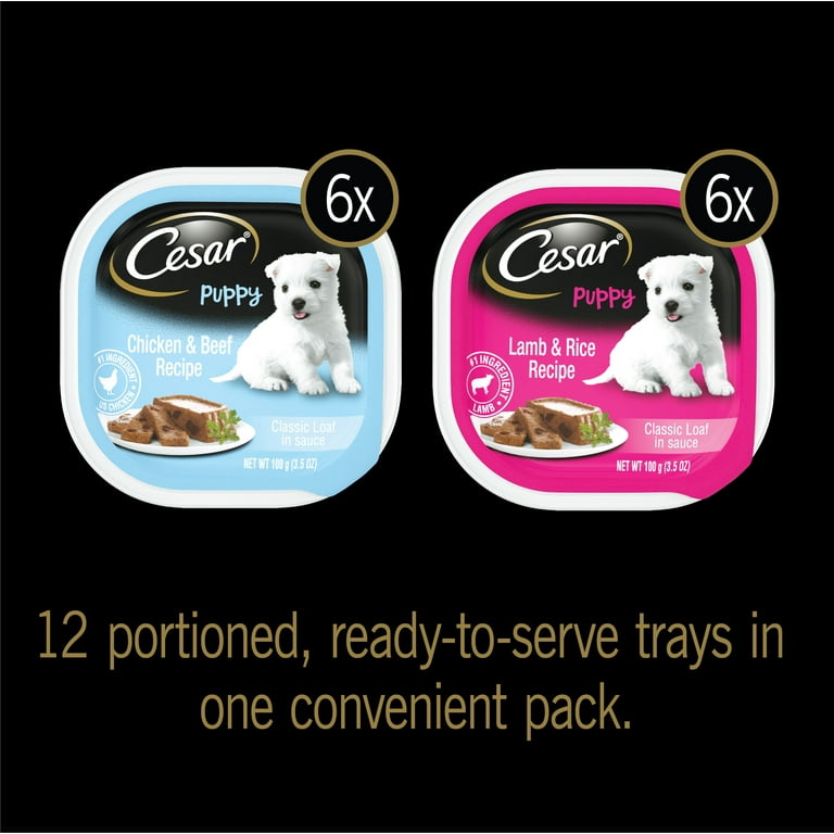 Wet puppy top food walmart