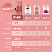 BIRDMAN Fitmingo Vegan Protein Powder with Inositol, 3 Blends, Vanilla, 45 Servings, 3.3lb