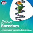 thumbnail image 4 of Super Bird Creations SB323 Small Bungee Bird Toy - Rope Perch for Canary, Parakeets, Cockatiels, Finch, Lovebirds - Colorful Swinging Perch - Bungee Toy for Small Birds & in Bird Cages, 4 of 7
