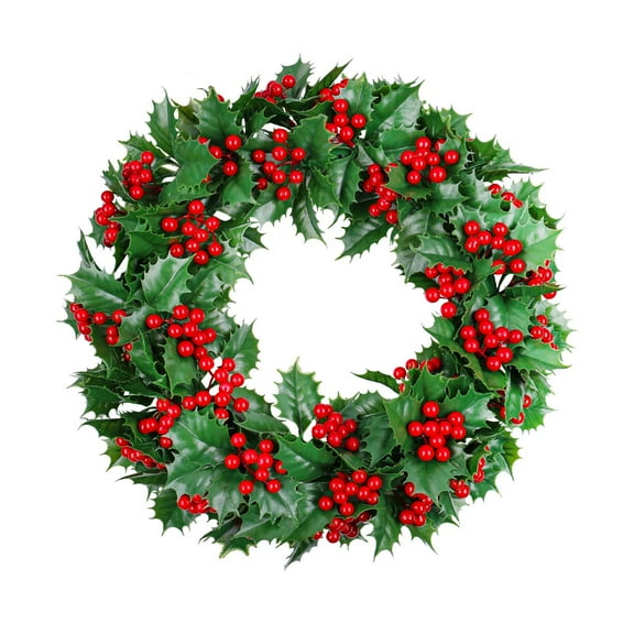 EWASWON Christmas 16 Inch Artificial Christmas Wreath, Green Plastic Xmas Wreath with Berries Rattan, Easy to Hang for Front Door Fireplace Decor