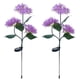 thumbnail image 1 of Lámparas solares para decoración de jardín al aire libre, paquete de 2, lámpara de flores de hortensia solar a prueba de agua, luces LED para exteriores, luz de camino, luces solares para jardín,, 1 of 6