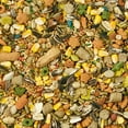 thumbnail image 6 of Kaytee Fiesta Mouse and Rat Food 4.5 lb, Fortified Gourmet Diet, 6 of 12