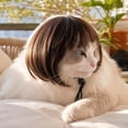 thumbnail image 3 of Kitty Wig Bangs Bob Hairstyle Pet Outfit Wig Cute Hairpiece For Felines Small Dogs Party Holiday Dress Up, 3 of 7