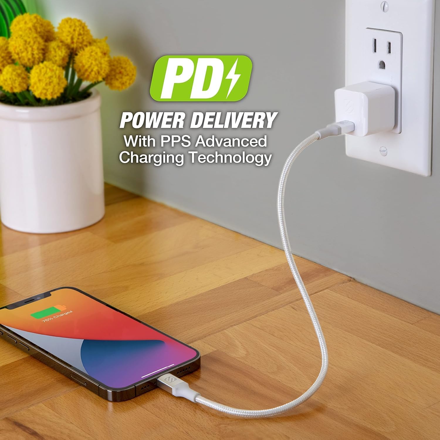 FEFEDFAA-HPDC30MWT-SP Powervolt 30W USB Type-C Wall Charger Compatible with Power Delivery 3.0, 2.0, and Standard USB-C Devices, Fast Charging, White