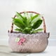 thumbnail image 5 of Planter Container Suculentas Estantería Decorativa Mini Jardín Interior Decoración Casa Oficina Boda Estilo Farmhouse Pequeño Macetero Portátil Metal Frame para Dormitorio, 5 of 9