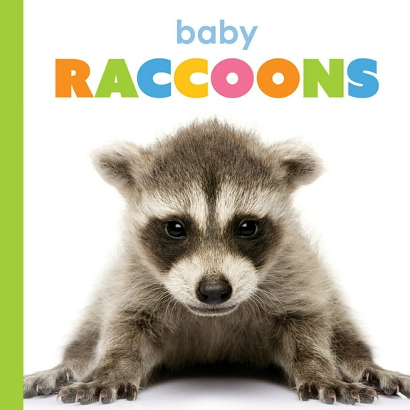 Starting Out Baby Raccoons, (Paperback)