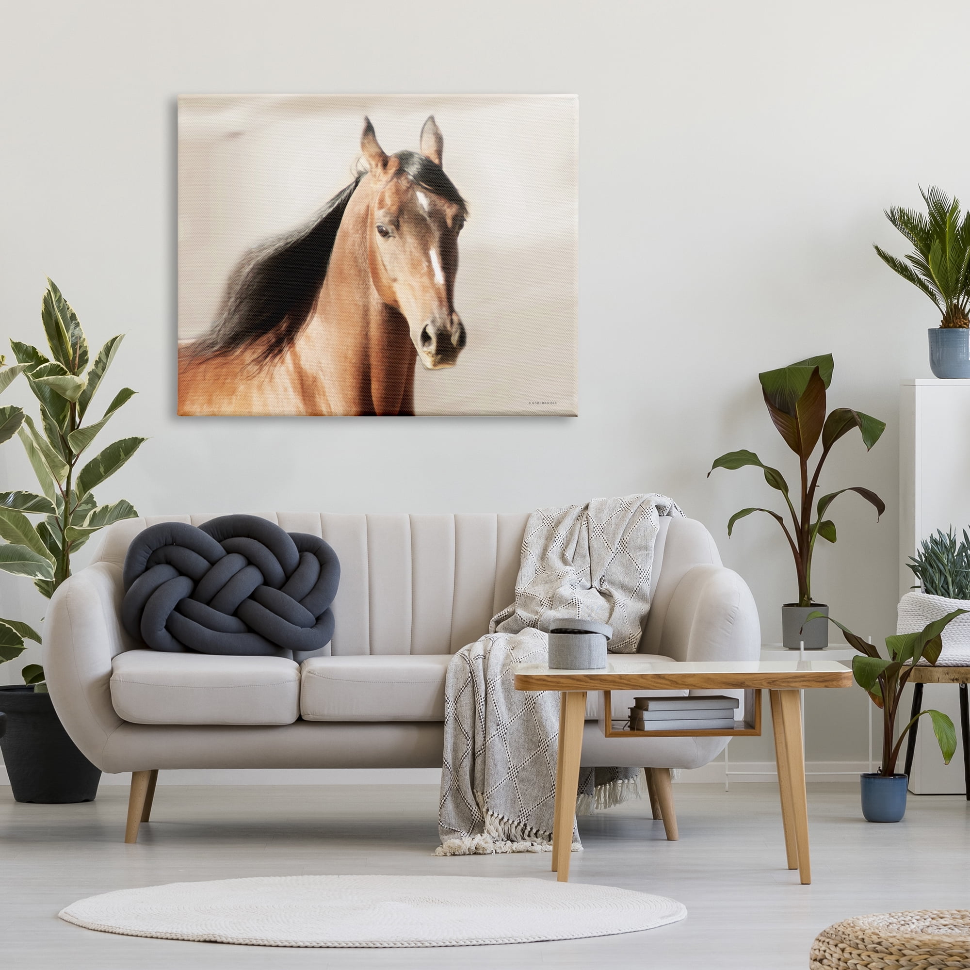 Stupell Industries Brown Stallion Portrait Animals & Insects Photography Gallery Wrapped Canvas Print Wall Art, 48 x 36