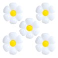 thumbnail image 1 of A Centro De Mesa Con 50 Globos Con Forma De Margarita,, 1 of 10
