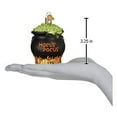 thumbnail image 5 of Old World Christmas Ornaments Halloween Cauldron Glass Blown Ornaments for Christmas Tree, 5 of 6