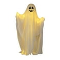 thumbnail image 4 of Decoraciones de Halloween, suministros para fiestas al aire libre, adornos, accesorios festivos para interiores, luces 165 centímetros, 4 of 9