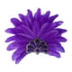 thumbnail image 1 of Sombrero de jefe indio, tocado de plumas, diadema para disfraz de adulto para fiesta y espectáculo. Púrpura, 1 of 9