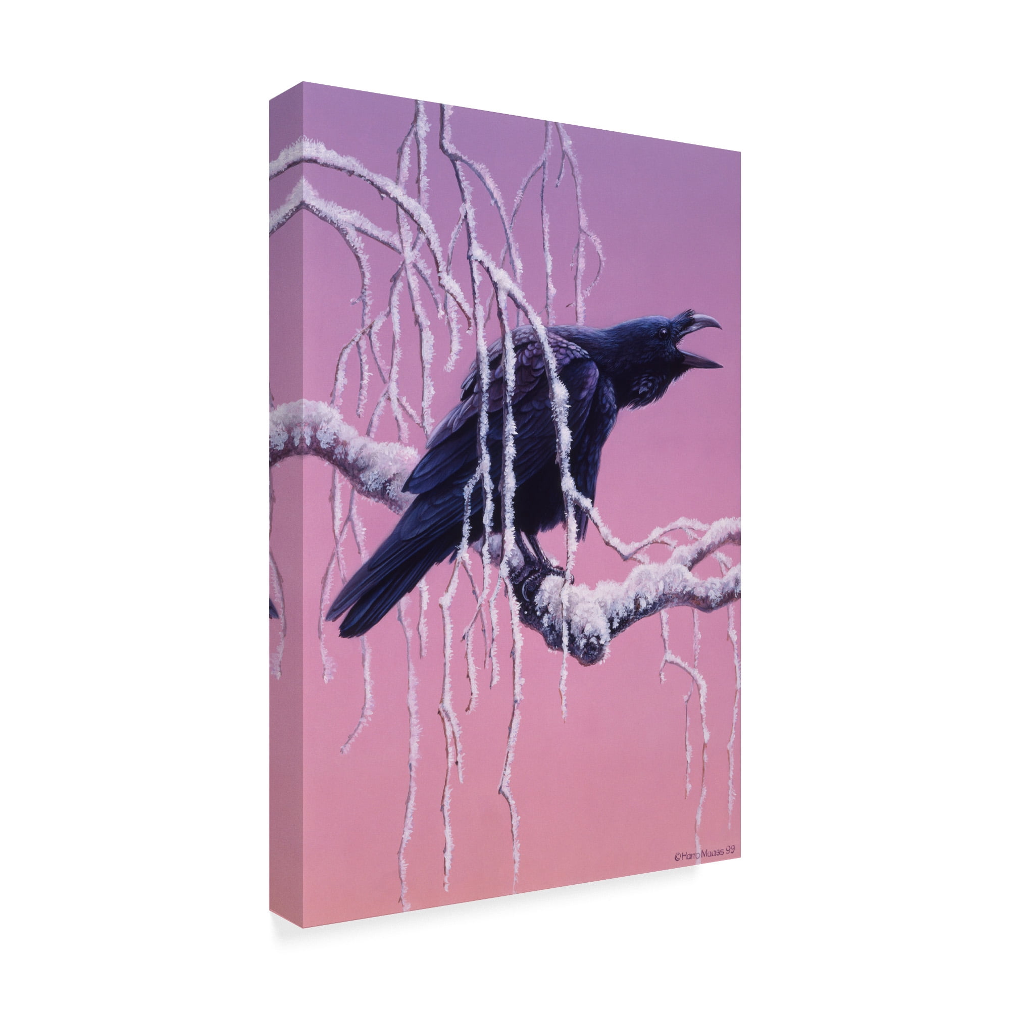 Trademark Fine Art 'Raven White Tree' Canvas Art by Harro Maass
