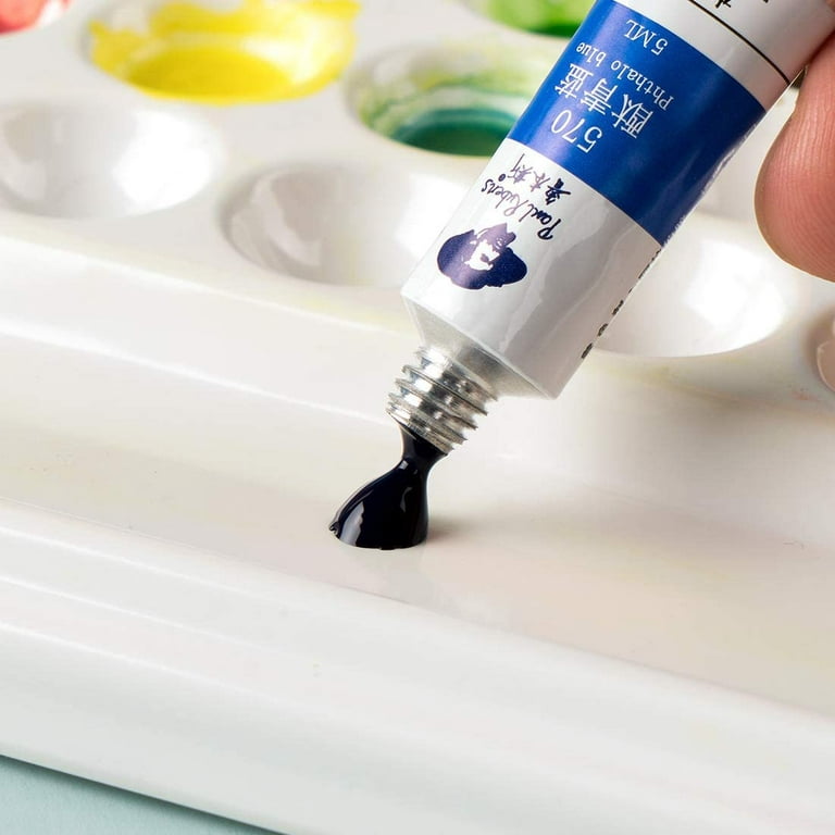 Paul Rubens Watercolor Pigment in 5ml-tube of 18/24/36 Color Set – Artbiz  Supply
