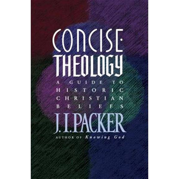 Pre-Owned Concise Theology: A Guide to Historic Christian Beliefs (Paperback) 0842339604 9780842339605