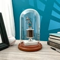 thumbnail image 2 of Plymor 5.5" x 10" Glass Display Dome Cloche (Walnut MDF Base), 2 of 2