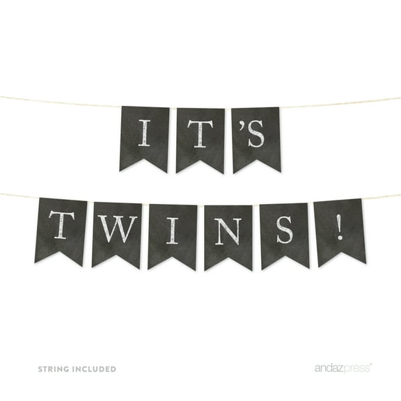 It's Twins! Vintage Chalkboard Baby Shower Pennant Party Banner